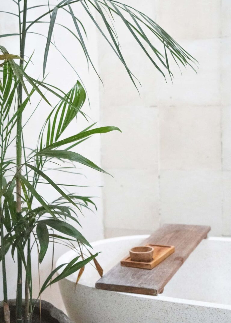 A lush potted palm plant stands beside a modern bathtub with a wooden caddy.
